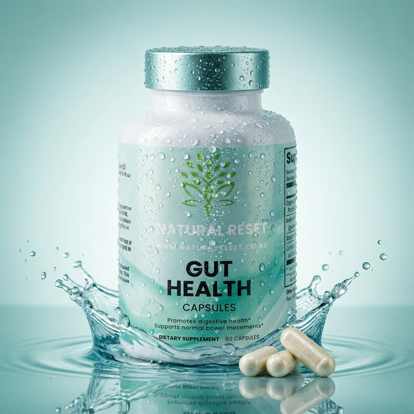 Gut Health 60 Capsules